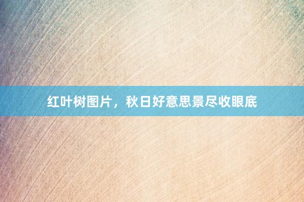 红叶树图片，秋日好意思景尽收眼底