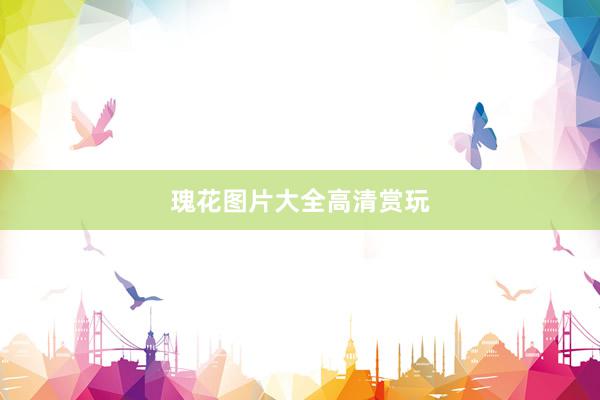 瑰花图片大全高清赏玩