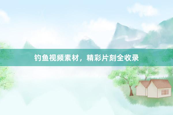 钓鱼视频素材，精彩片刻全收录