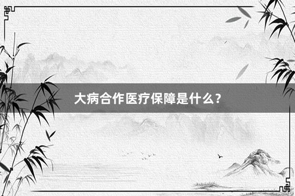 大病合作医疗保障是什么?